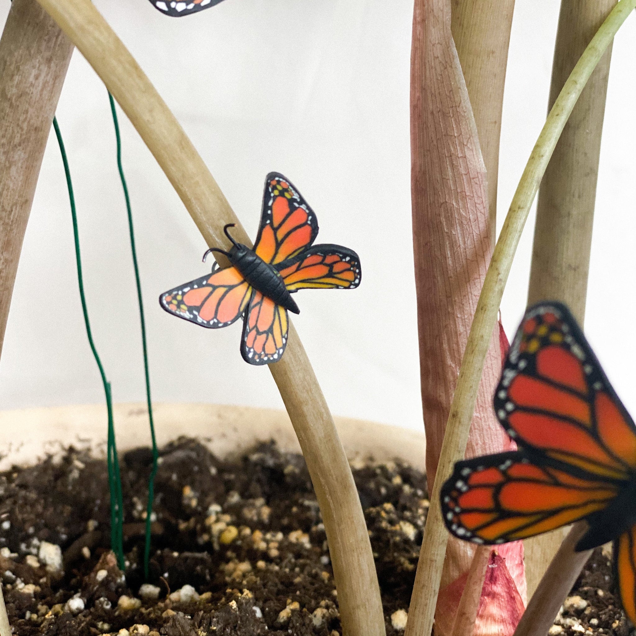 Monarch: Small Plant Decor (Approx 1”)