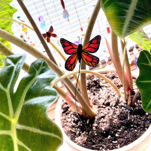 Monarch: Large Plant Decor (Approx 2”)
